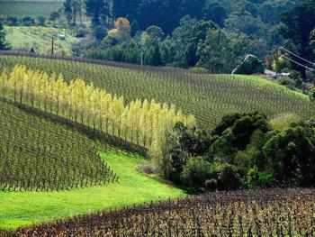 Adelaide Hills Council